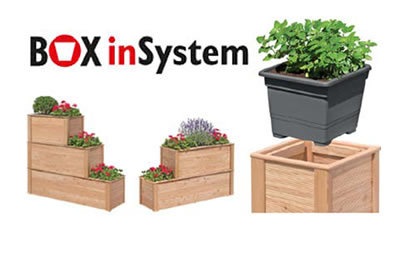 Box in System